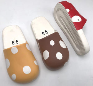 New slippers شبشب جديد